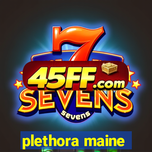 plethora maine